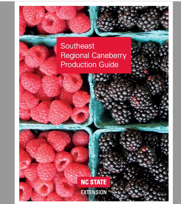 6. Southeast