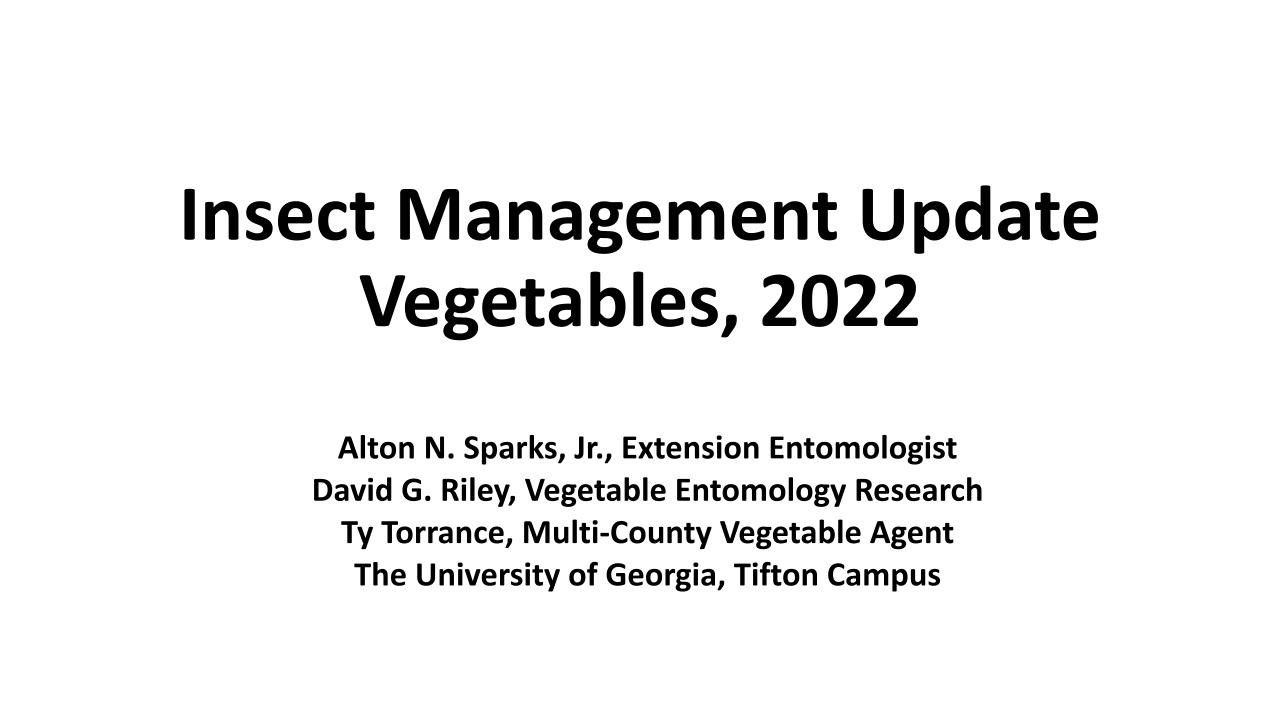 Insect Management Update Vegetables 2022 Southeast Regional Fruit And Vegetable Conference 3996